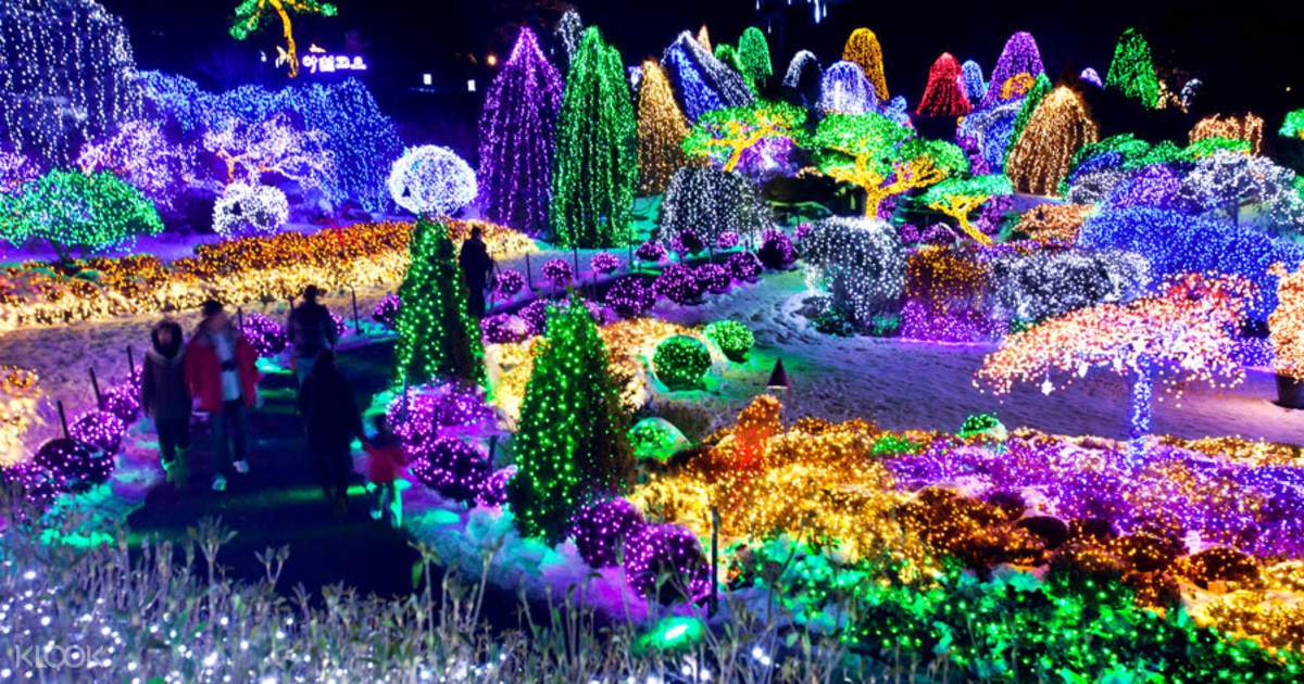 Garden Of Morning Calm This Is Korea Private Tour